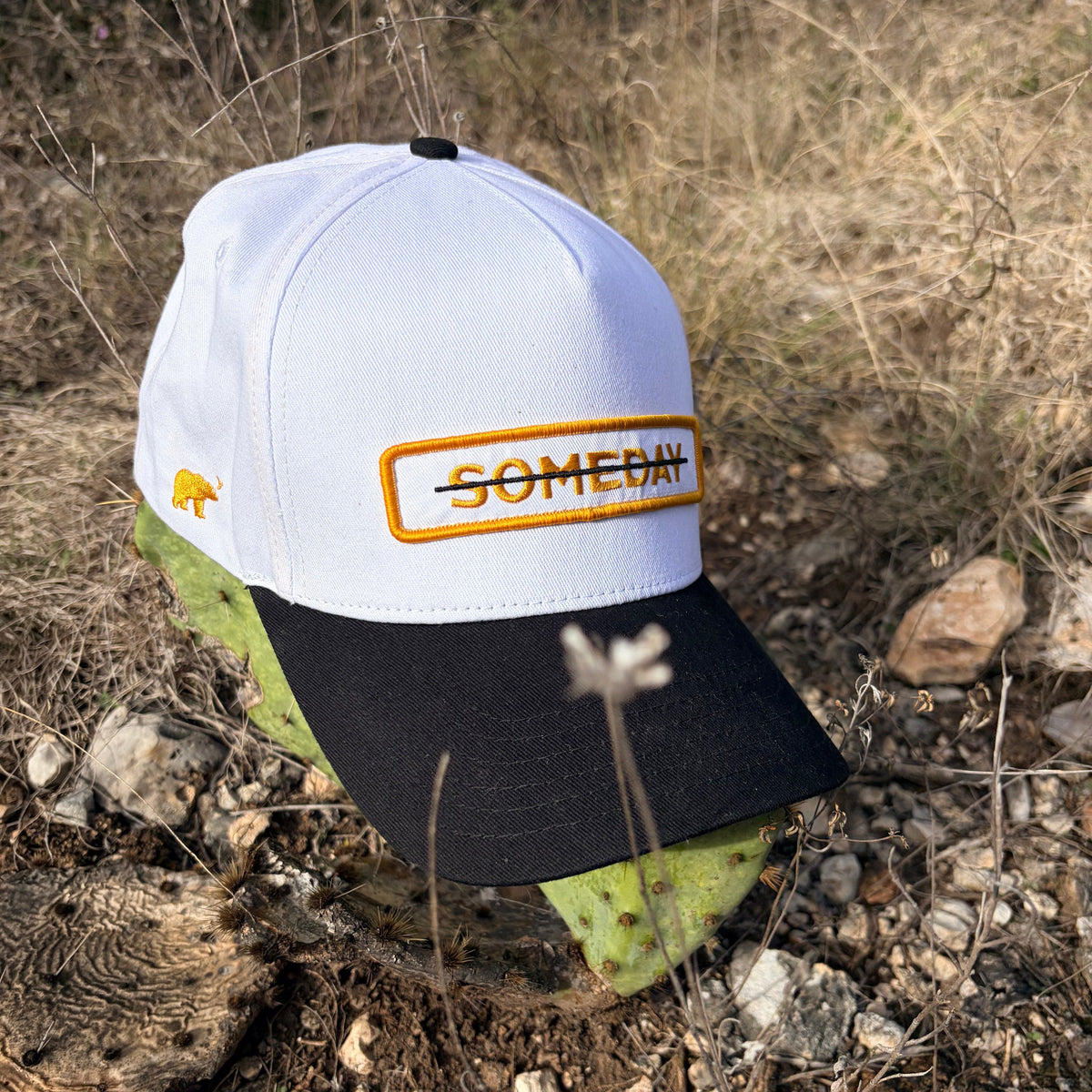 A white and black baseball cap with a yellow embroidered Someday logo patch, displayed outdoors on a rocky, grassy ground.